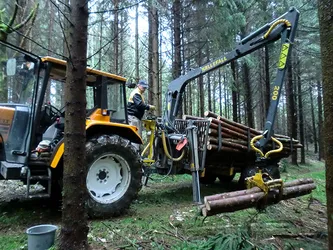 Heinz Schmutz im naturgemäß bewirtschafteten Privatwald